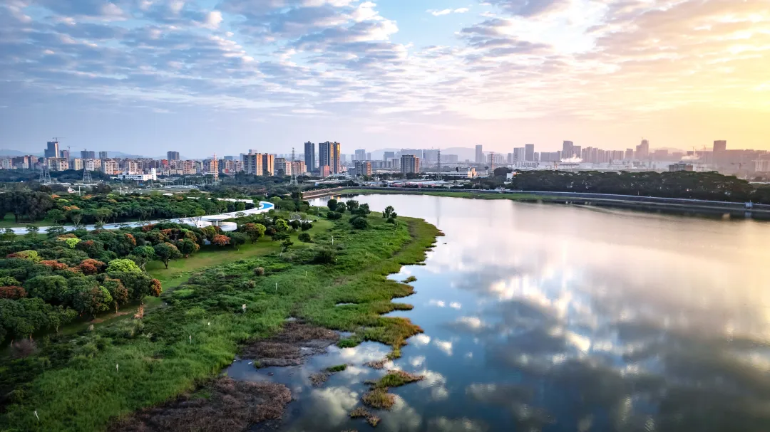 1736151072940029.jpg 1736151050443.jpg