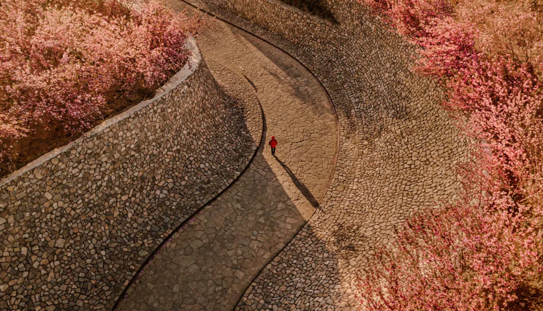 1736151095248038.jpg 1736151079442.jpg