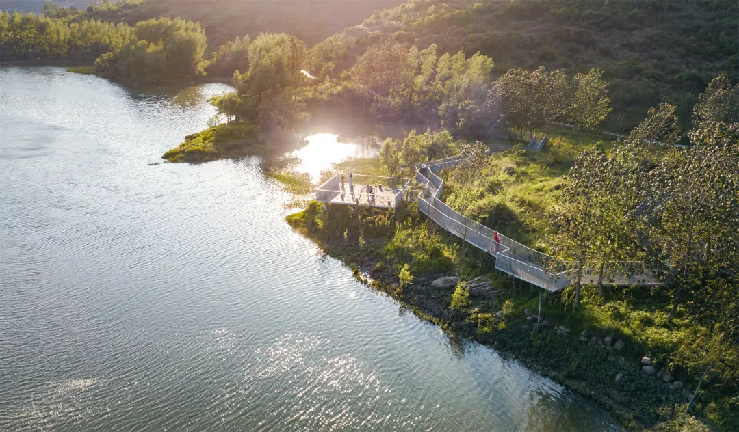 1736151118191600.jpg 1736151109860.jpg