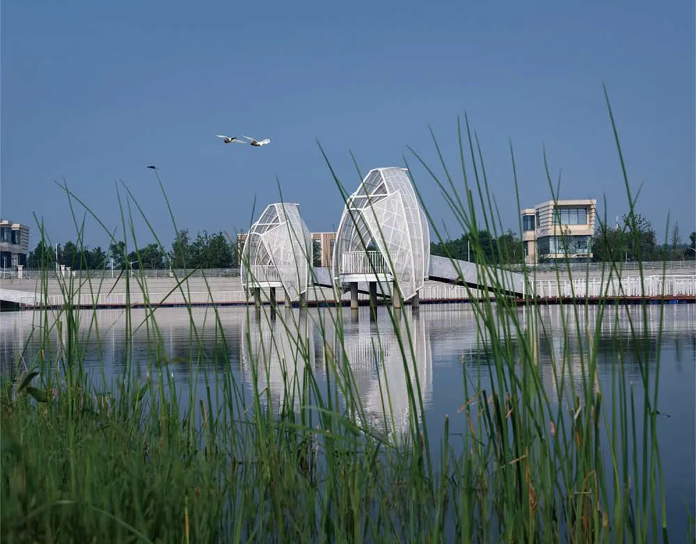 1736230067856181.jpg 1736230010112.jpg