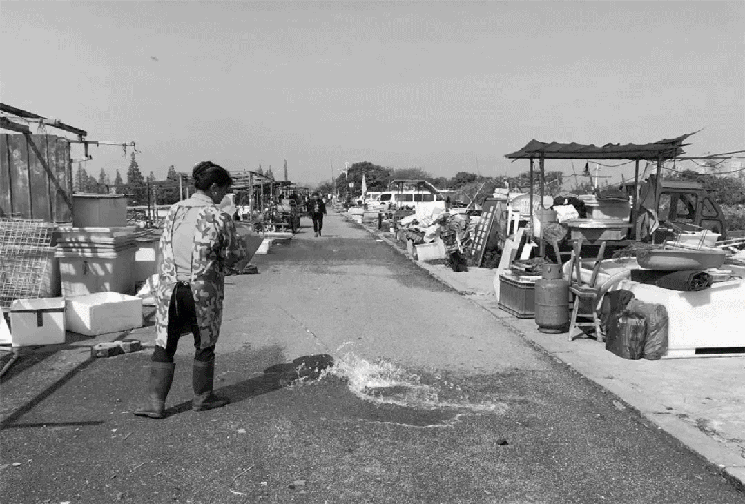 1736230077181457.jpg 1736230015639.jpg