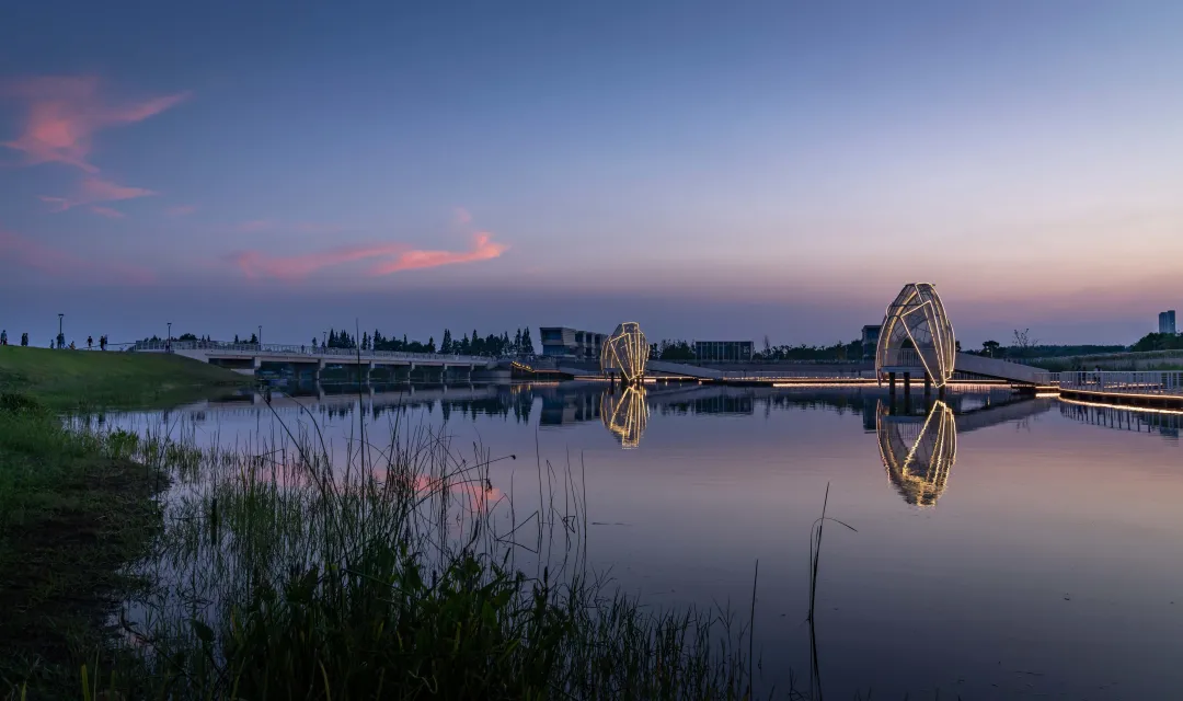 1736230089708569.jpg 1736230024260.jpg