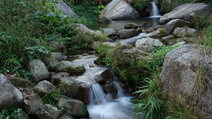 1736231155105489.jpg 1736231151233.jpg