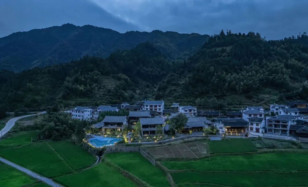 1736231366130224.jpg 1736231358713.jpg